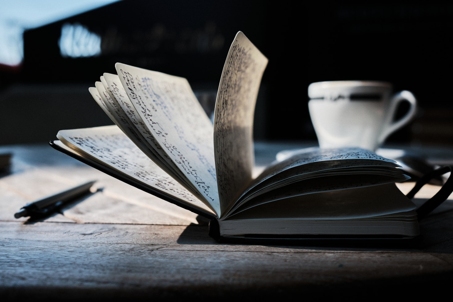 My Favorite Musings from This Month